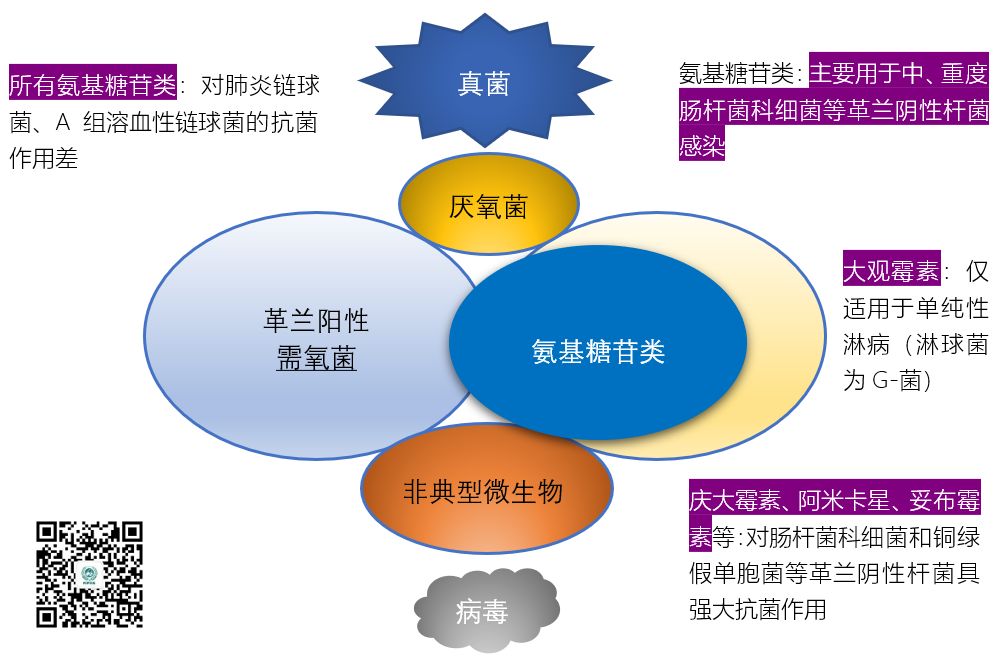 图说抗菌药物的抗菌谱，再也不会记不住了