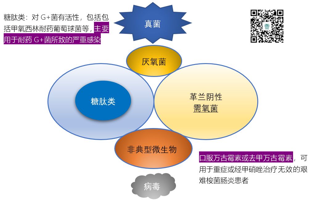 图说抗菌药物的抗菌谱，再也不会记不住了