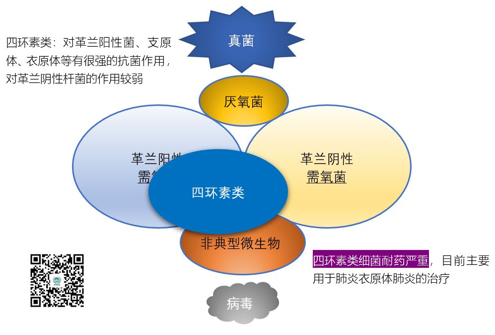 图说抗菌药物的抗菌谱，再也不会记不住了