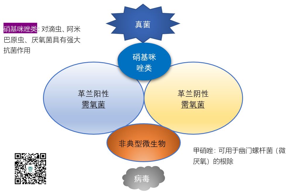 图说抗菌药物的抗菌谱，再也不会记不住了