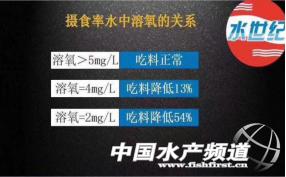 黄颡鱼暴死,黄颡鱼有零星死亡怎么回事