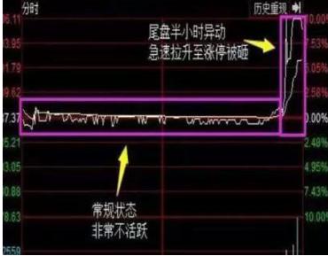 厦大女博士最新消息,厦大女博士讲股票