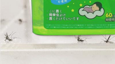 日本人真会玩！家里放个它，蚊子自动远离10米！比蚊香管用100倍