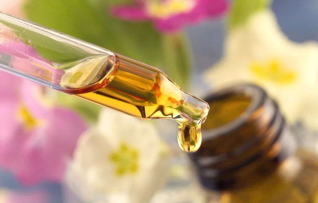 日本人真会玩！家里放个它，蚊子自动远离10米！比蚊香管用100倍