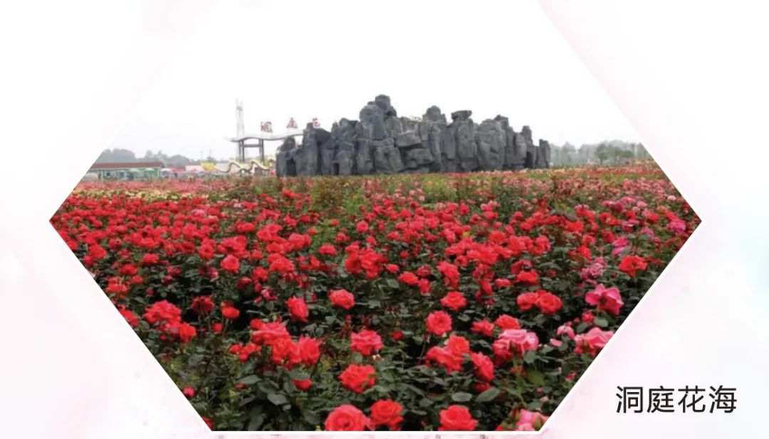 网约湘游秘境湖南,网约湘游五一预热游