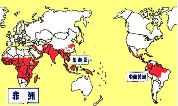钟南山和李兰娟送来婚礼祝福│另一种传染病!男子回国后发烧39.5℃│发朋友圈判赔80万│16名醉驾司机5年禁驾并被刑事立案