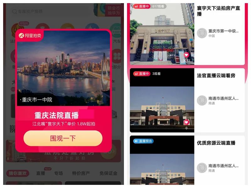 “云视察+云座谈”！9名代表委员与4800名网友在线见证重庆法院这场直播拍卖