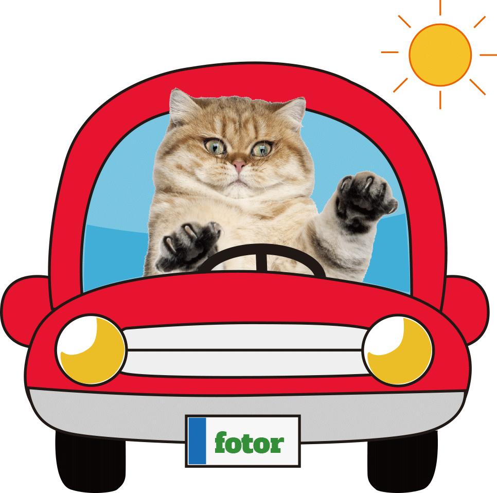 新北又放大招！买车政府补贴，最高3000！