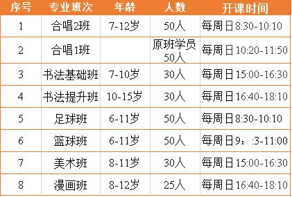 广安少年宫,青少年宫开业活动