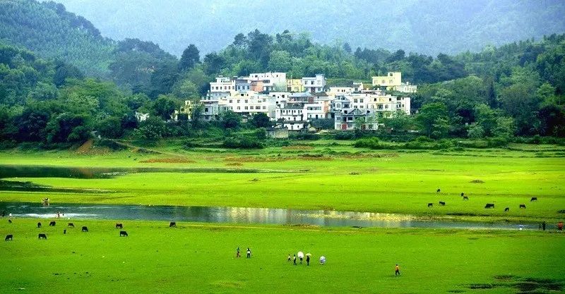 南宁上林亲子游,马山上林宾阳自驾游