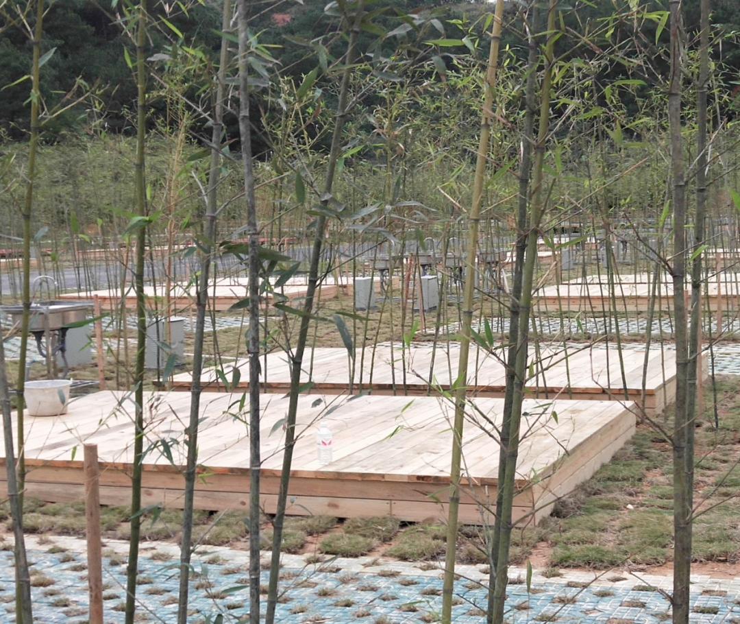 南宁上林亲子游,马山上林宾阳自驾游