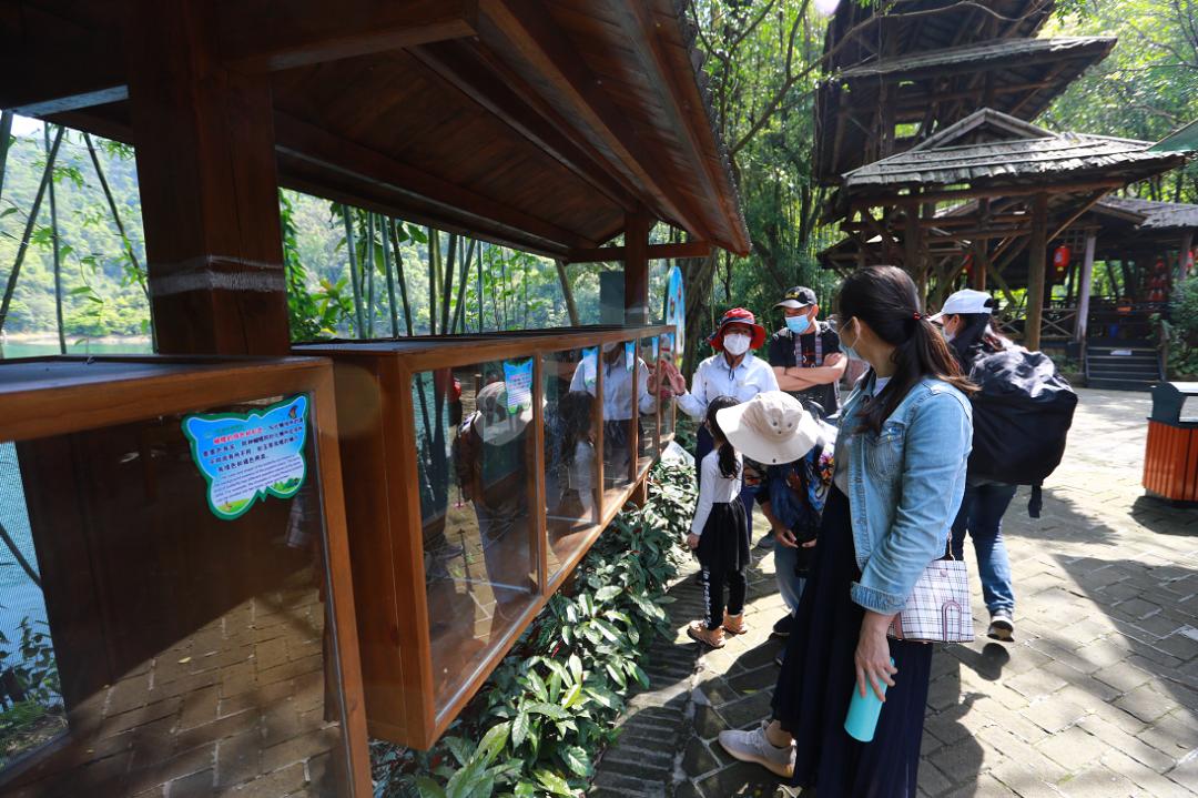 好玩的端午游活动,好玩的端午假期