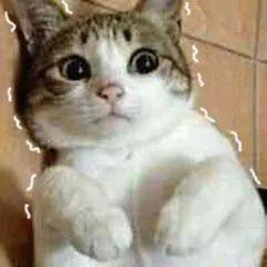 身份证可能被他人绑定微信支付,怎样查询微信支付被他人绑定了