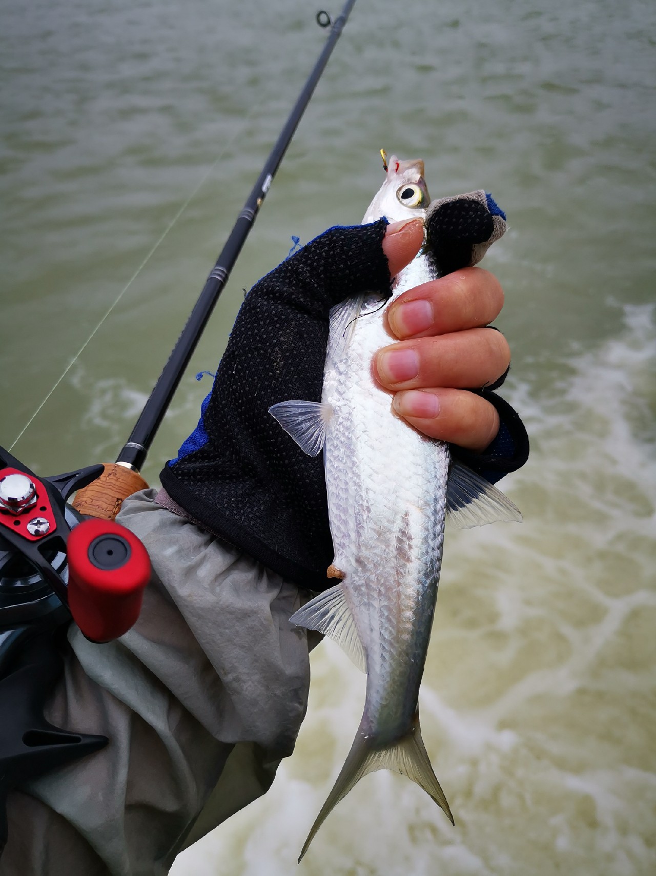 看别人路中大翘嘴，心痒怎么办？拿起鱼竿就是干