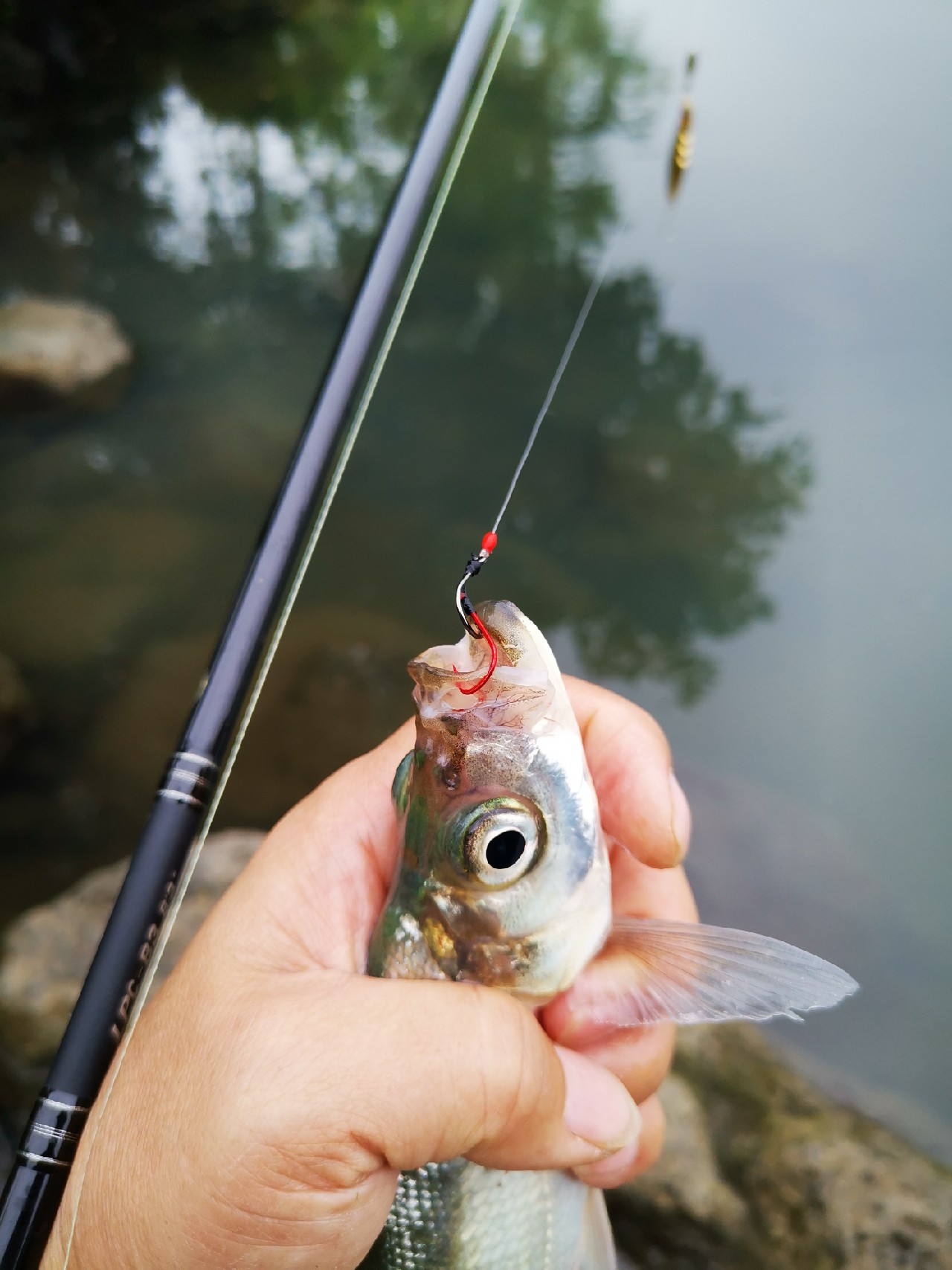 看别人路中大翘嘴，心痒怎么办？拿起鱼竿就是干