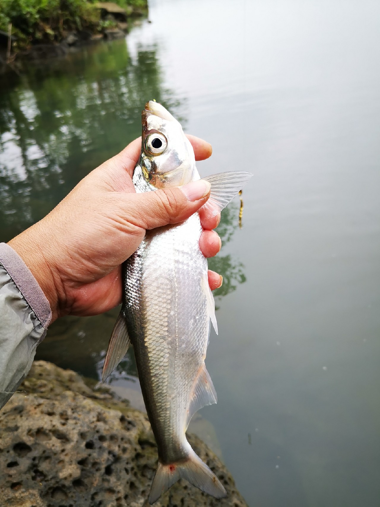 看别人路中大翘嘴，心痒怎么办？拿起鱼竿就是干