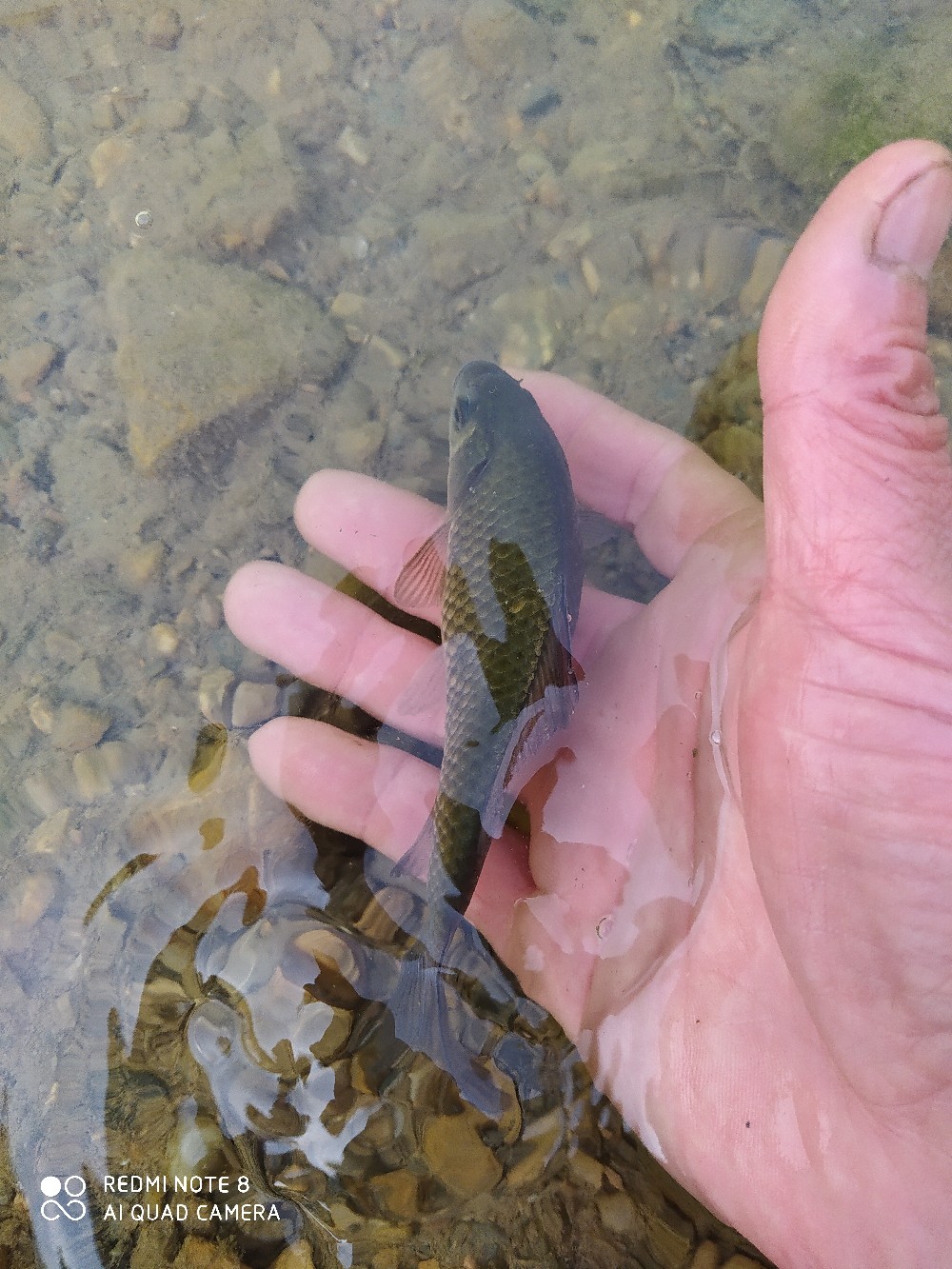 海竿串钩钓大鱼技巧和方法,海竿串钩怎么钓最灵活图解