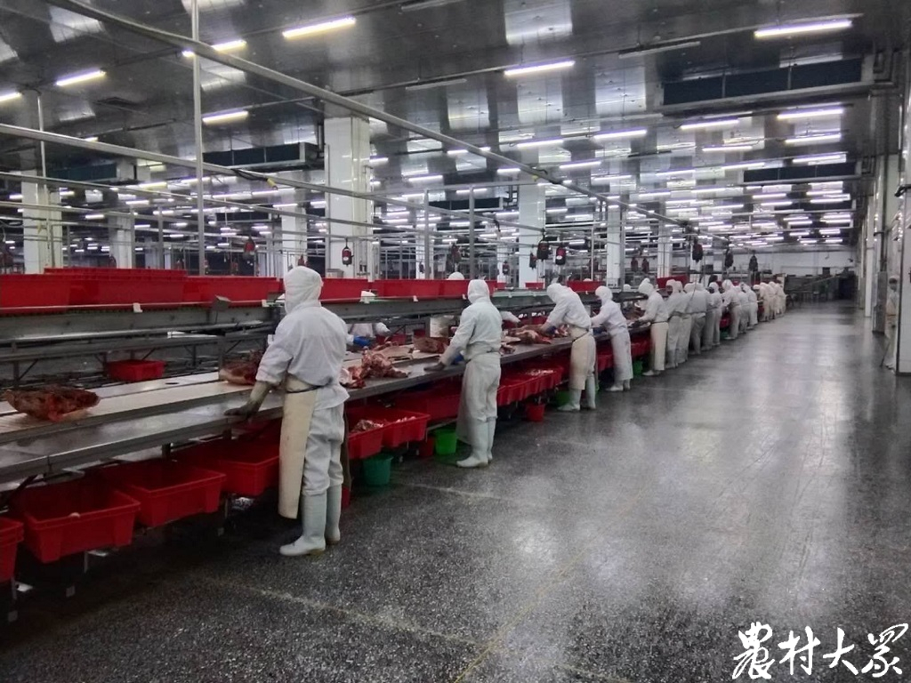 破复产复工堵点·原料篇|政府代购、企业共享,互助式开工让原材料当不成绊脚石