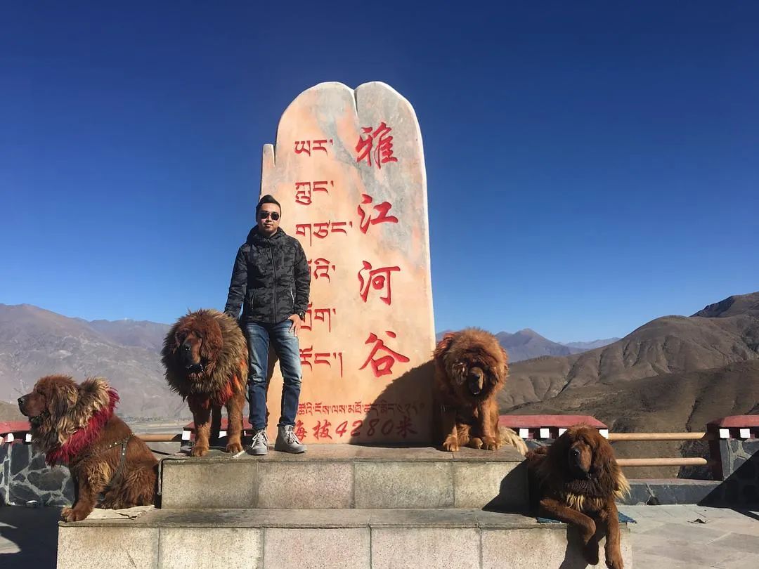 从日喀则出发珠穆朗玛峰旅游,日喀则能看到珠穆朗玛峰吗