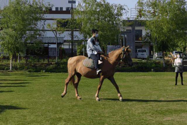 大朋友小朋友，六一去哪嗨？宜昌14家景区特惠福利来袭！