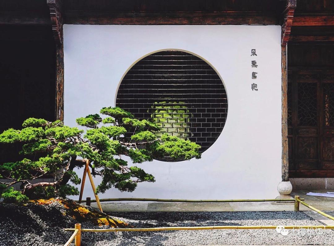 99抵1000！汽车、美食、美妆……松江“五五购物节”来了