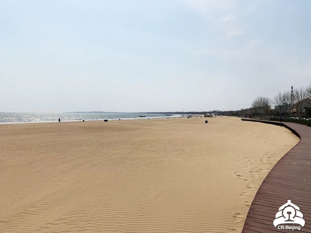 北戴河五一去可以在海边玩吗,五一去北戴河还可以看见海鸥吗