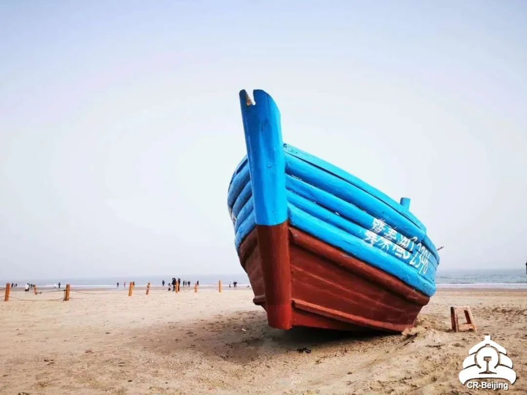 北戴河五一去可以在海边玩吗,五一去北戴河还可以看见海鸥吗