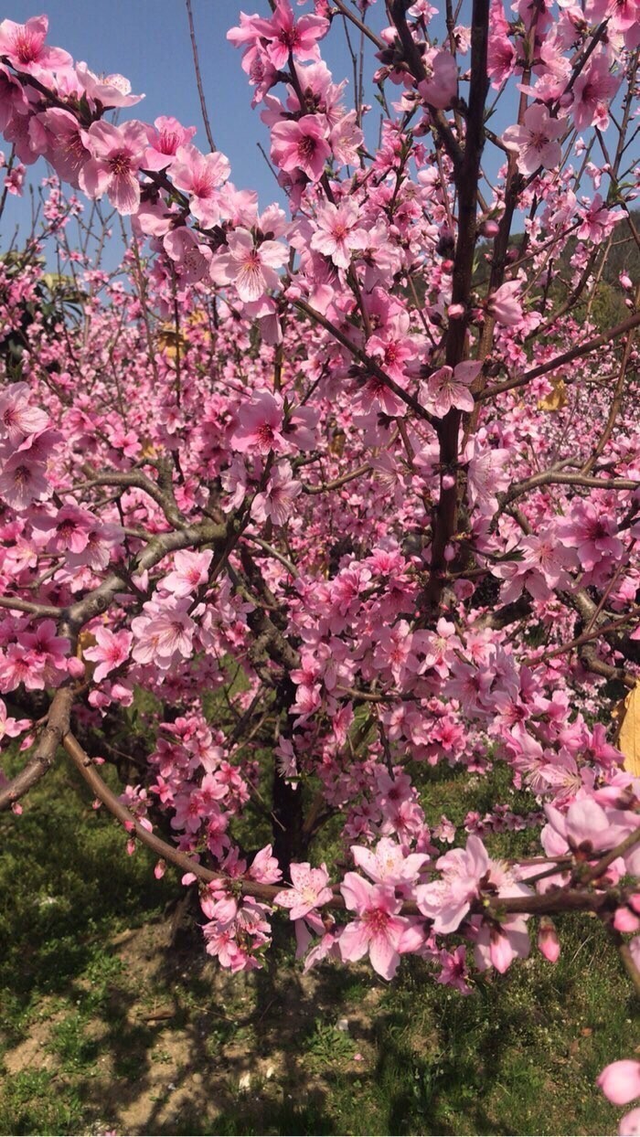 如何根据水情和鱼情来搭配饵料,水流急鱼口轻