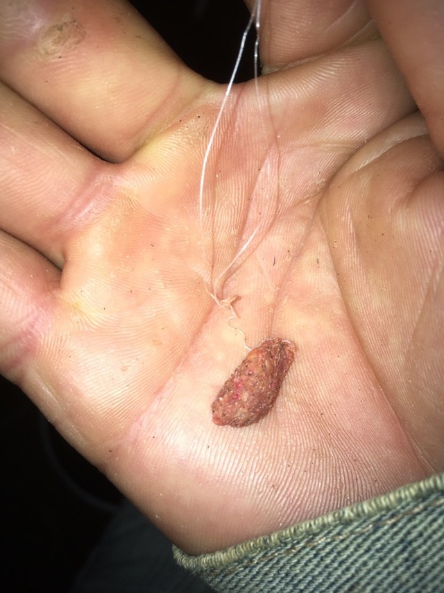 如何根据水情和鱼情来搭配饵料,水流急鱼口轻