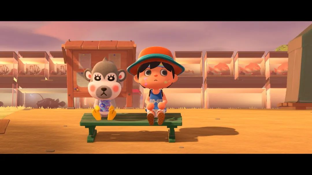 上岛一个月的“动森梦”醒了很久还是很感动