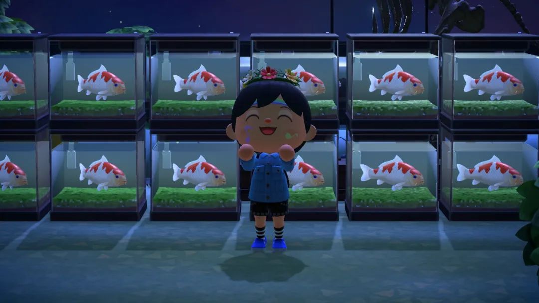 上岛一个月的“动森梦”醒了很久还是很感动