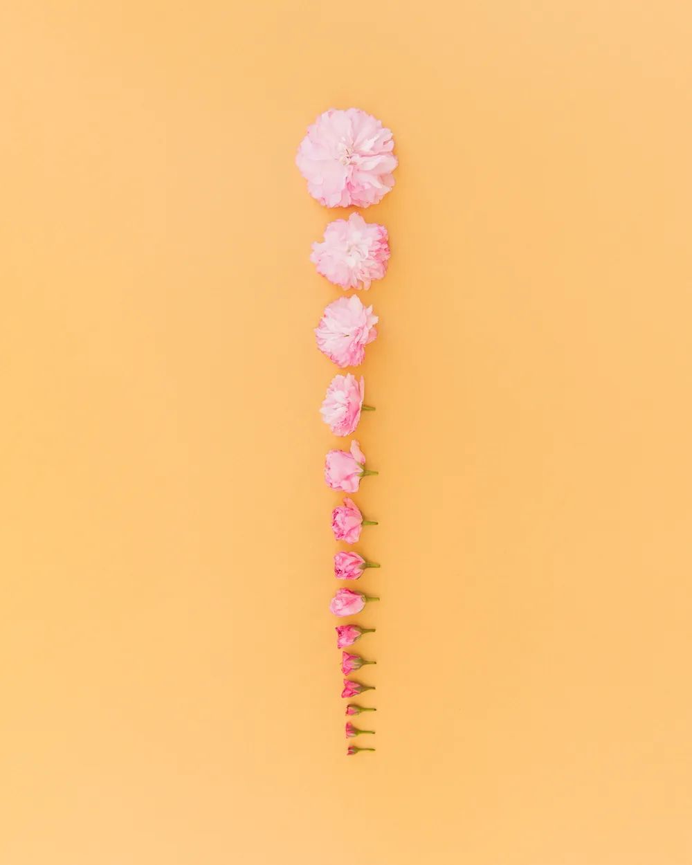 治愈强迫症游戏,治愈强迫症最佳疗法