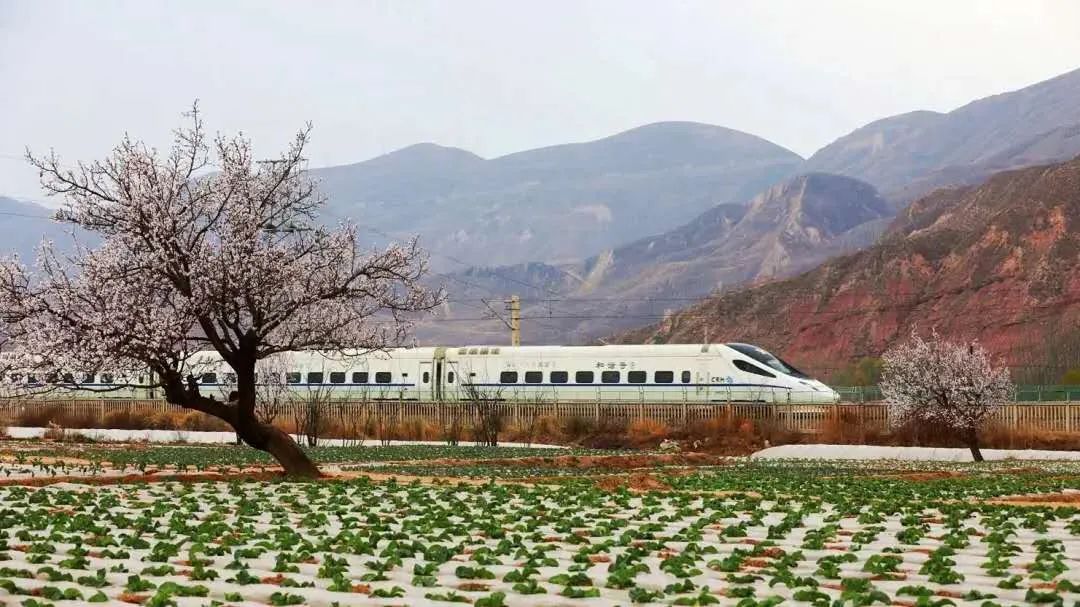 青海西宁电子客票,西宁火车站电子客票怎么做