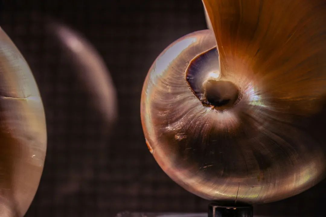 海口最漂亮酒店,海口适合度假的酒店推荐