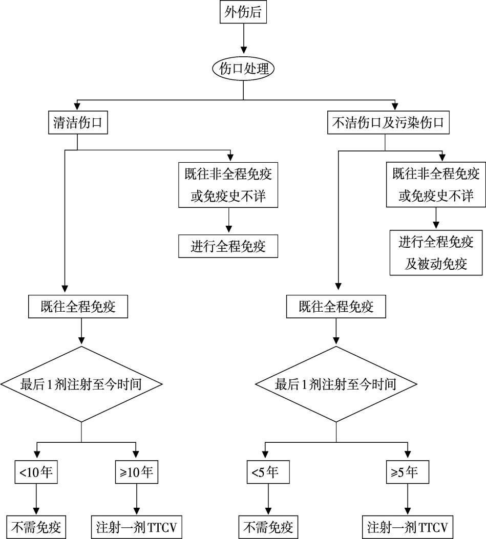 被孩子咬了需要打破伤风针吗,被人咬破皮了需要打破伤风针