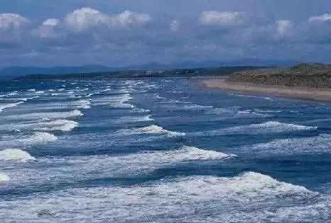 北戴河五一去可以在海边玩吗,五一去北戴河还可以看见海鸥吗