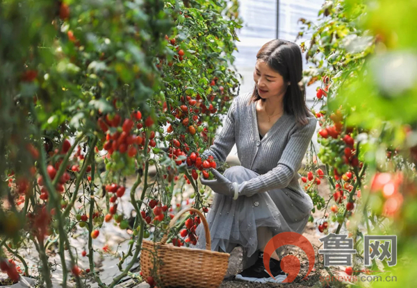 祥和庄园4月29日开园啦！向往的生活从这里开始