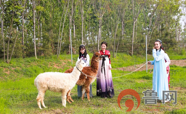 祥和庄园4月29日开园啦！向往的生活从这里开始