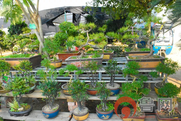 祥和庄园4月29日开园啦！向往的生活从这里开始