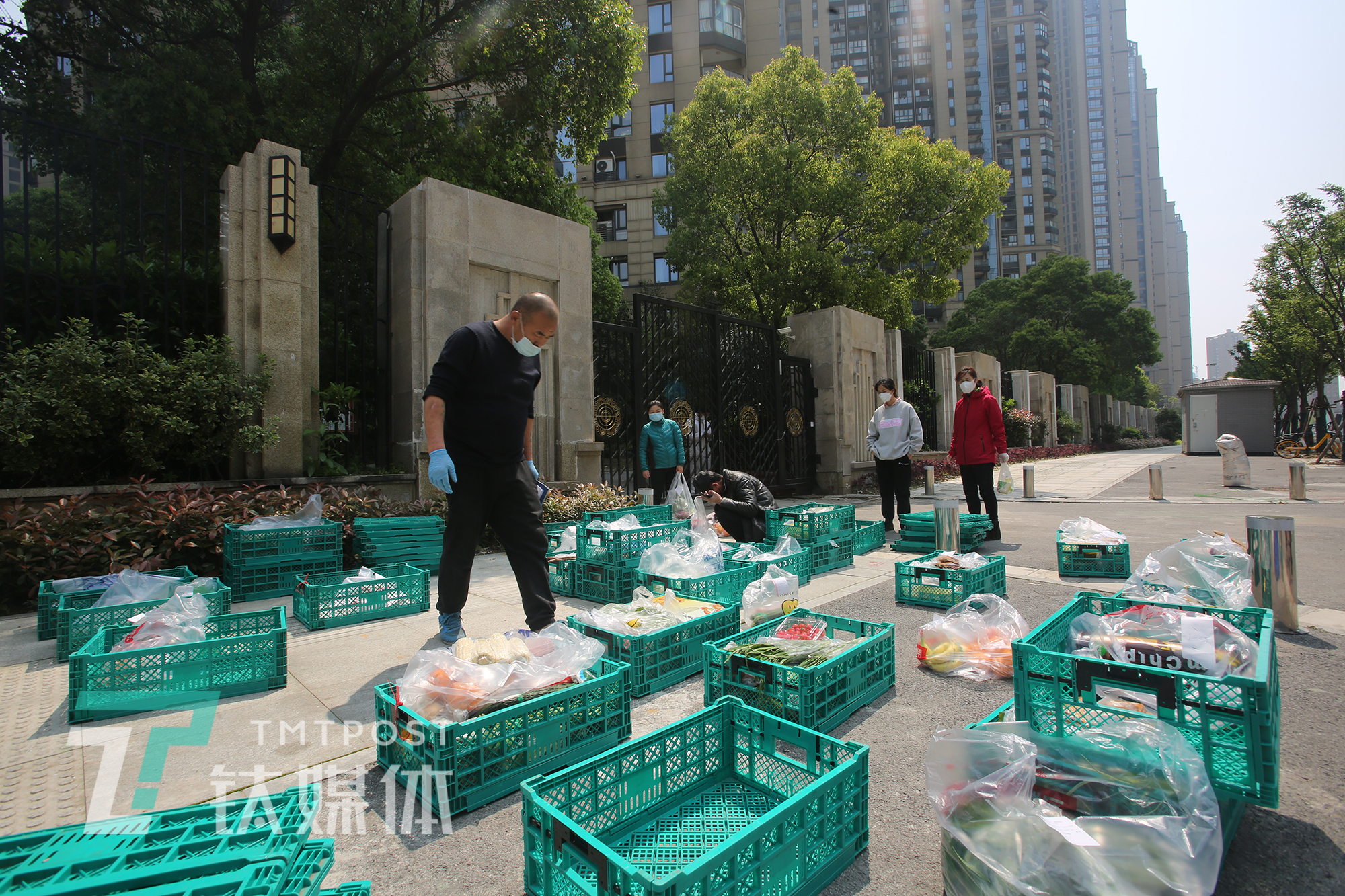 武汉万物复苏,武汉复苏