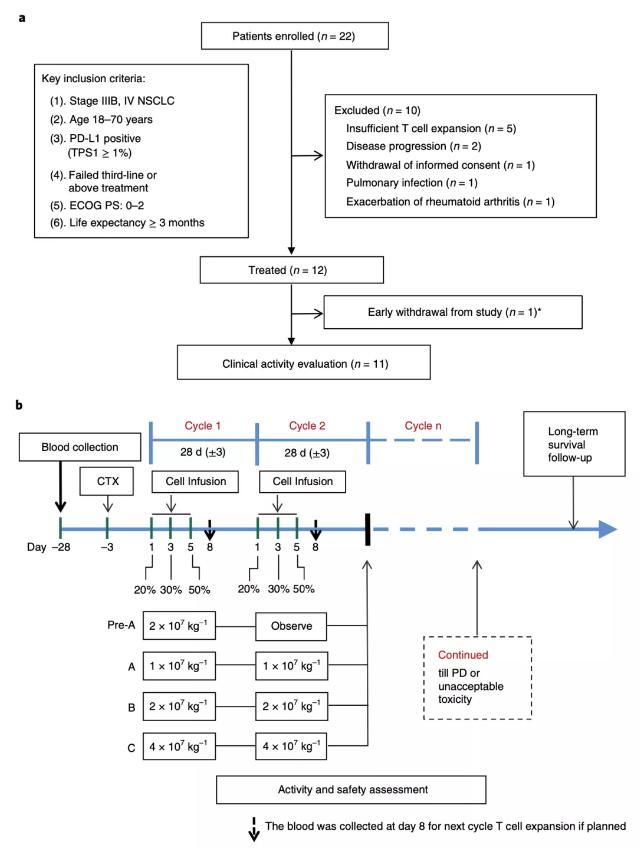 变革癌症治疗crispr技术开辟新路,首款CRISPR基因编辑疗法获批上市