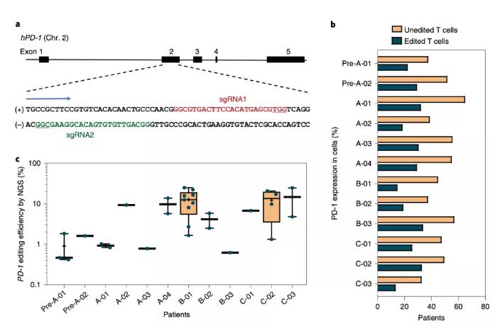 变革癌症治疗crispr技术开辟新路,首款CRISPR基因编辑疗法获批上市