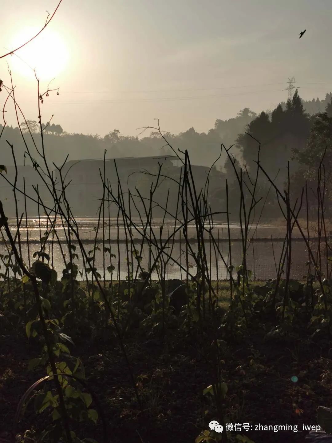一个学者的世界“观”|张明经管之家书面访谈实录