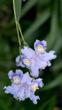 从燕园到家乡丨一种相思，两处*光春**