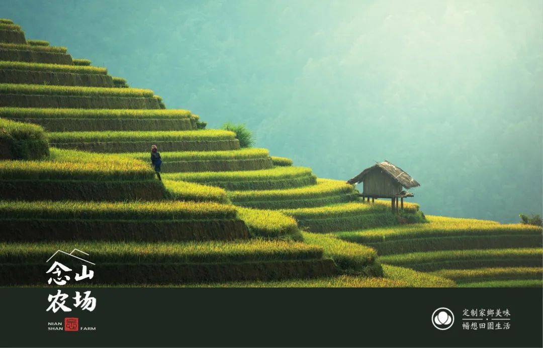 漂亮的大米系列包装设计,日式大米包装设计