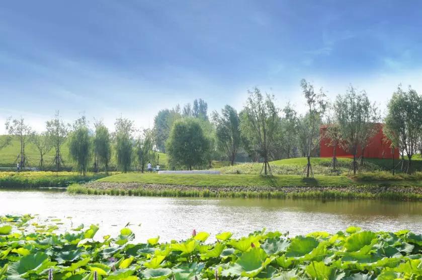 郑州适合周末逛的地方,郑州目前最值得游玩又便宜的地方