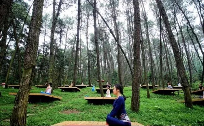 郑州适合周末逛的地方,郑州目前最值得游玩又便宜的地方