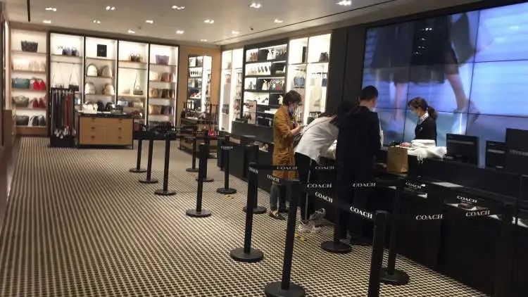 市委书记亲自推介,这个大手笔对上海为什么重要?