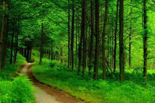 初刻拍案惊奇案原文,新拍案惊奇案件