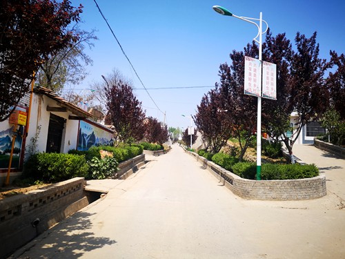 让村民直呼村庄像花园的印台阿庄，如何做好美丽乡村的“守”与“变”？